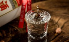 配资网：白酒板块為(wèi)何跌跌不休？